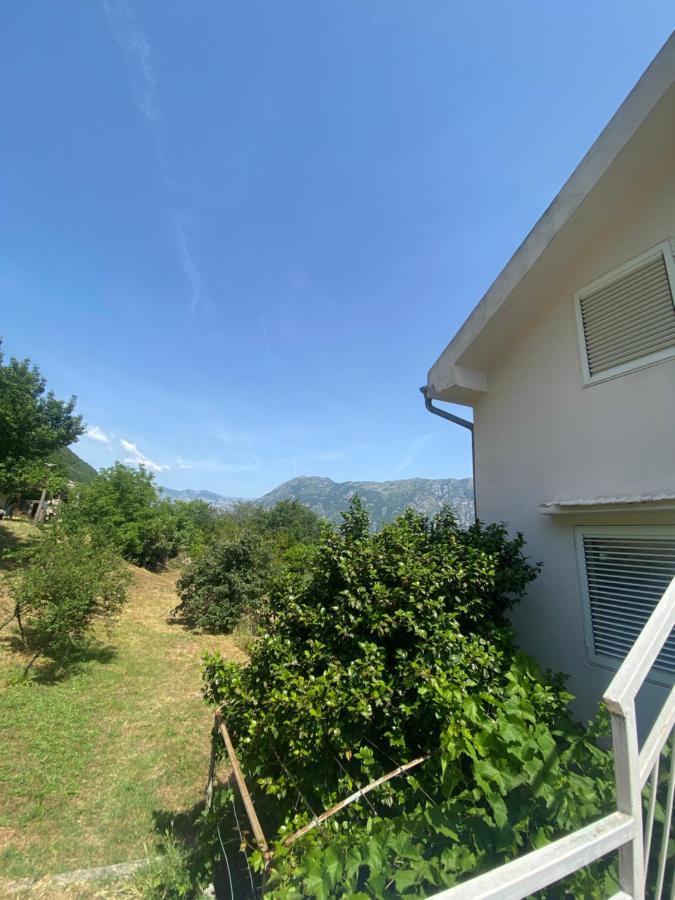 Apartments Djuricic Kotor Luaran gambar